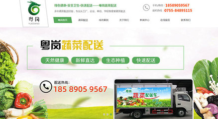 廣東新杰膳食服務(wù)-東莞長(zhǎng)安蔬菜配送網(wǎng)站建設(shè)成功案例