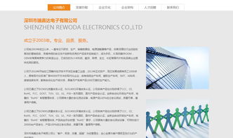 沙漠風 深圳網站建設的卓越領航者——瑞嘉達（深圳）網站建設公司解析